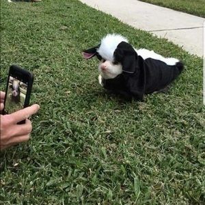 Meet your Posher, Shannon